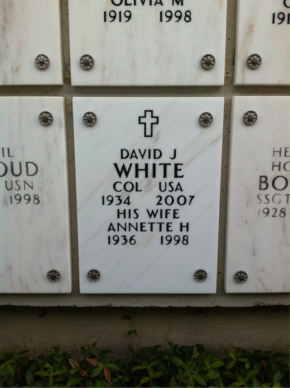David White