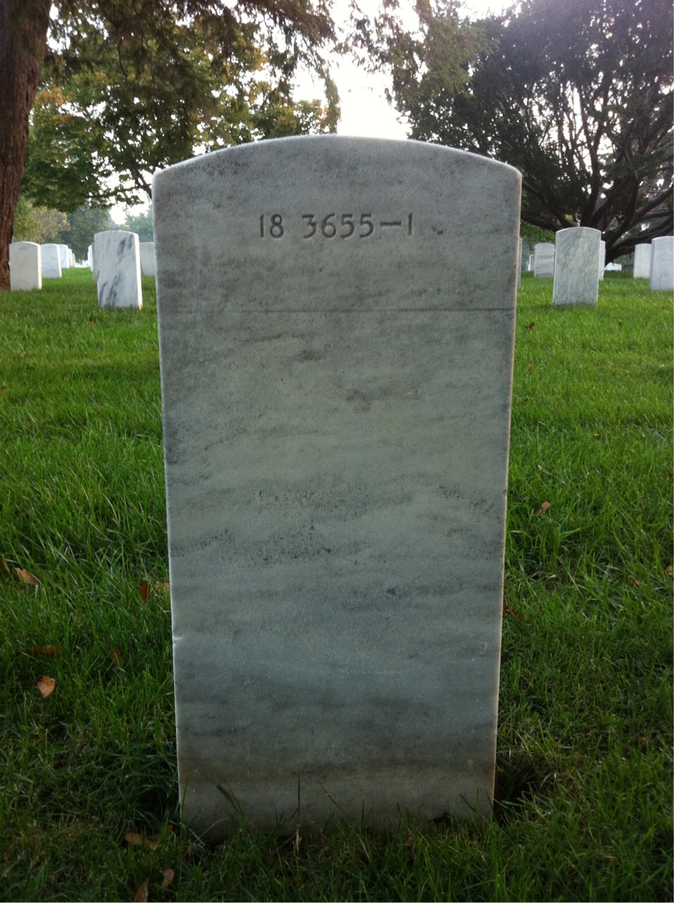 Back of headstone — Herbert Mott