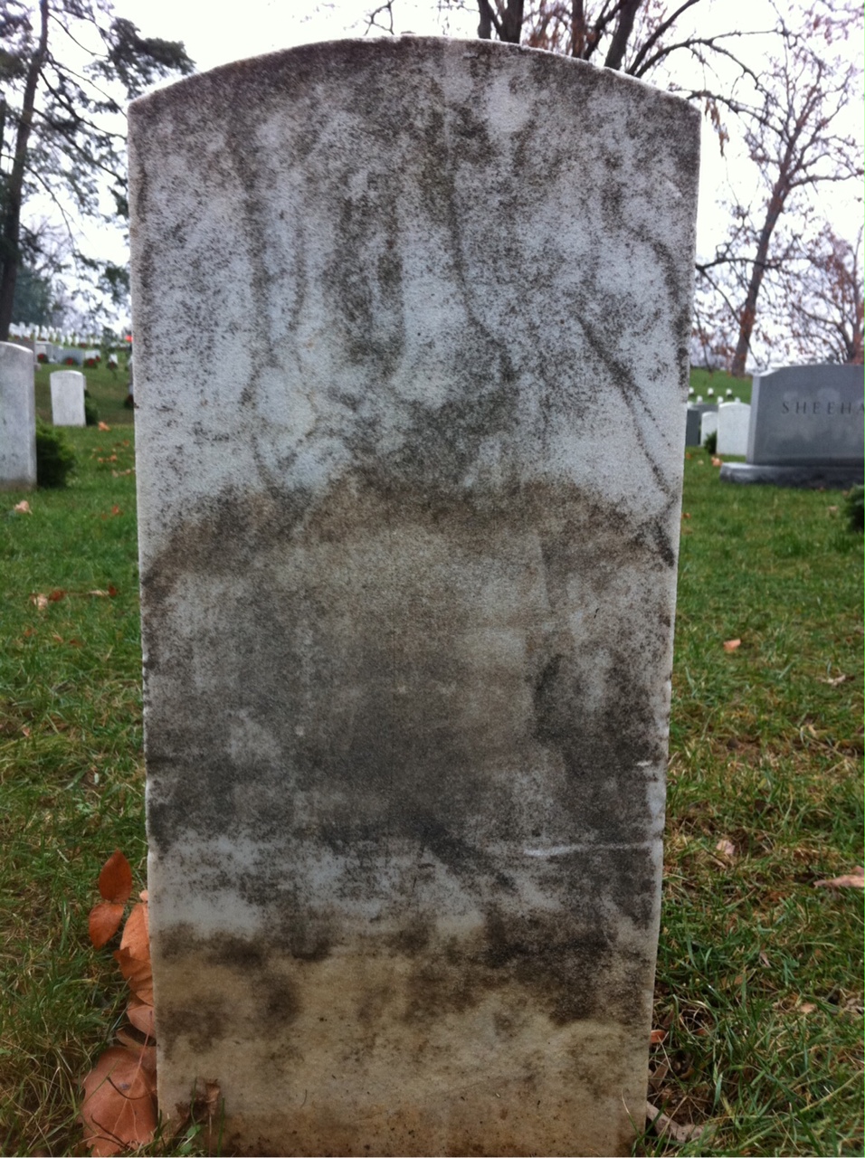 Back of headstone — George Alden