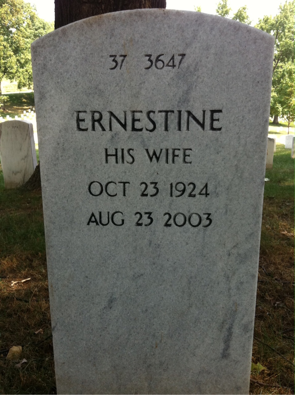 Back of headstone — Paul Mcdonald