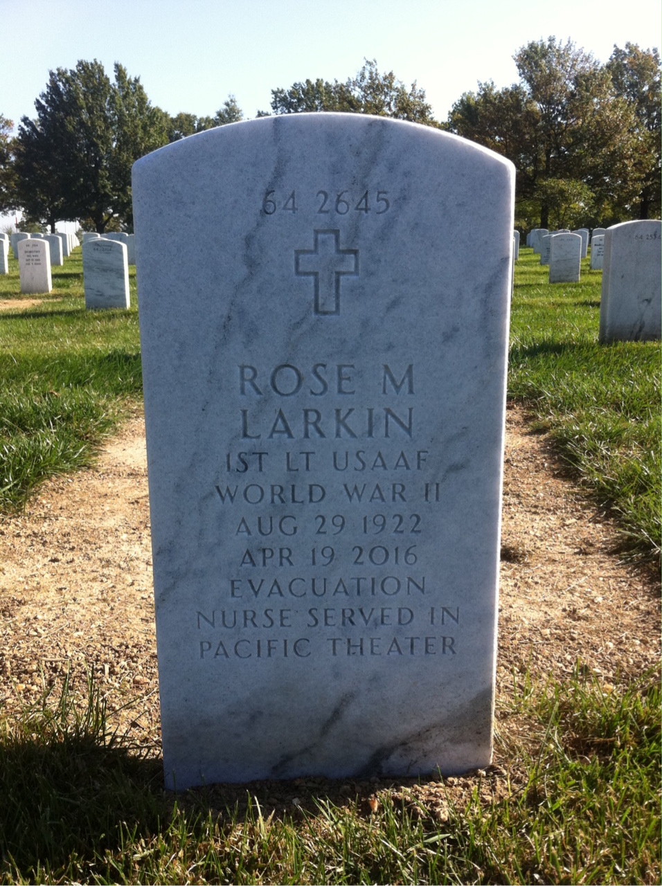 Back of headstone — John Larkin
