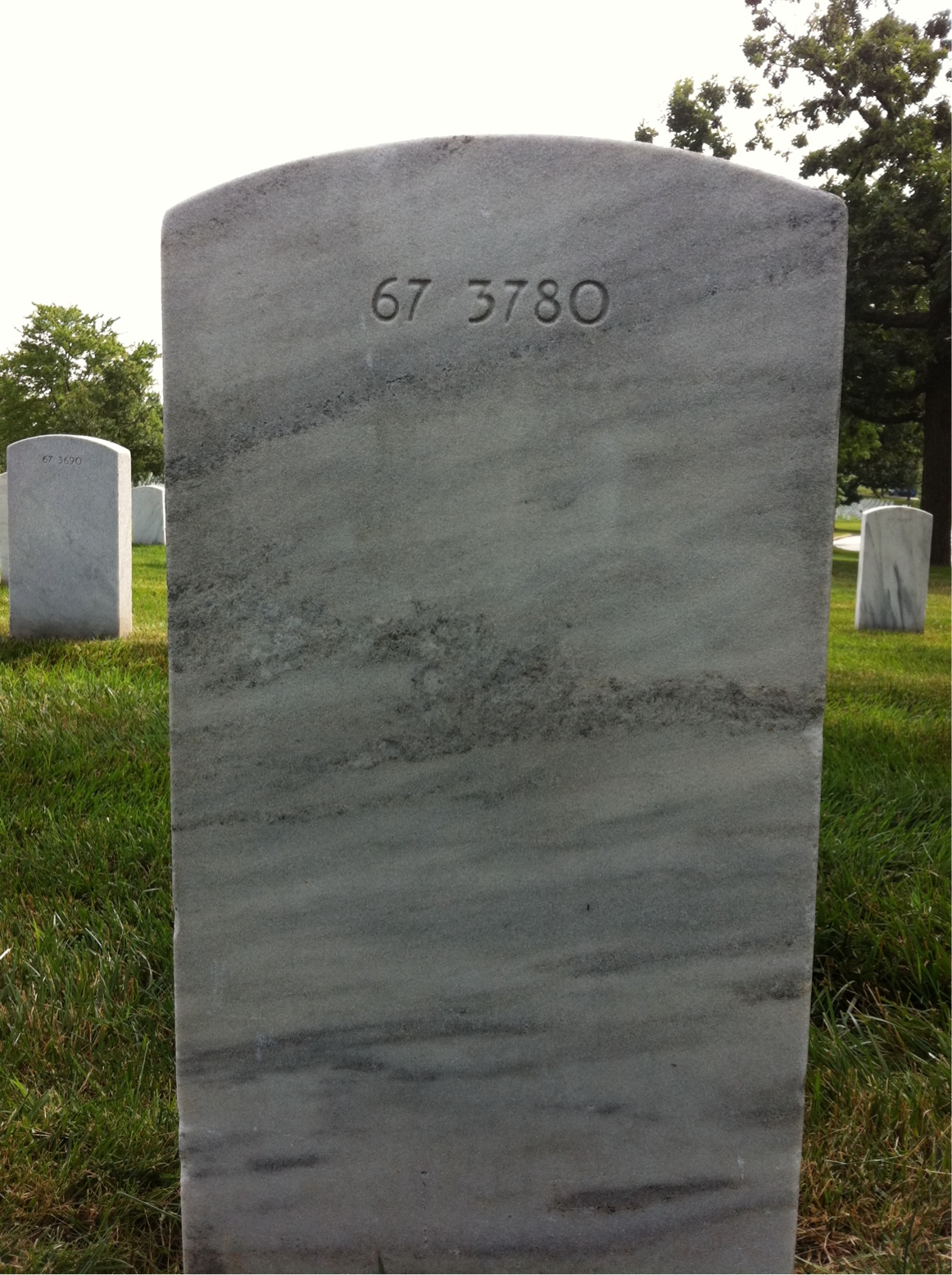 Back of headstone — William D Holland