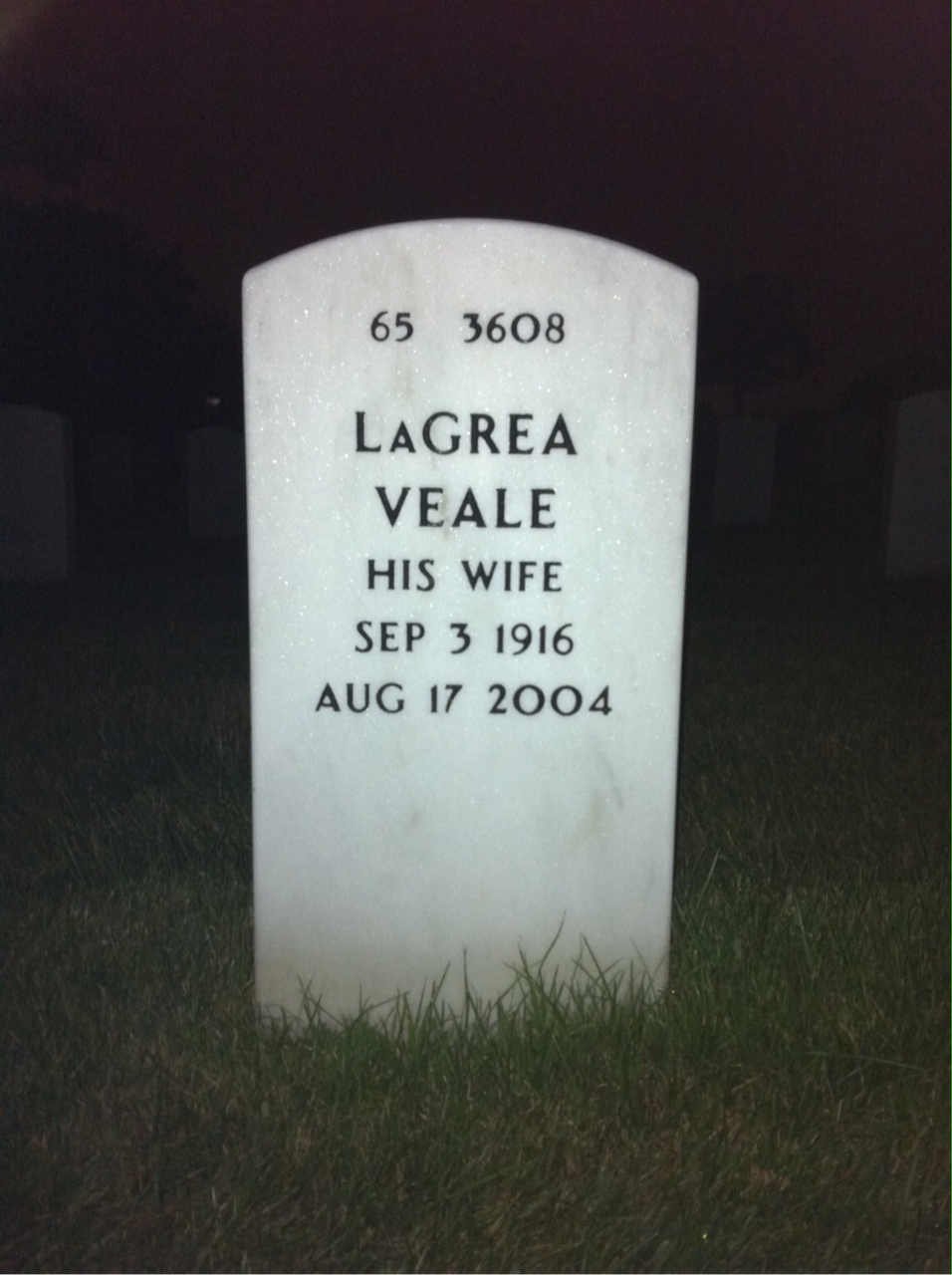 Back of headstone — Julius Levy