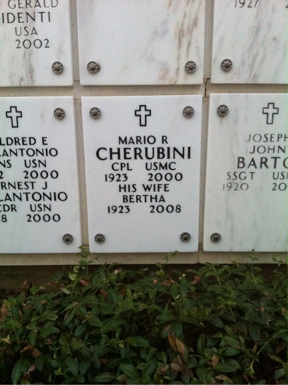 Mario Cherubini