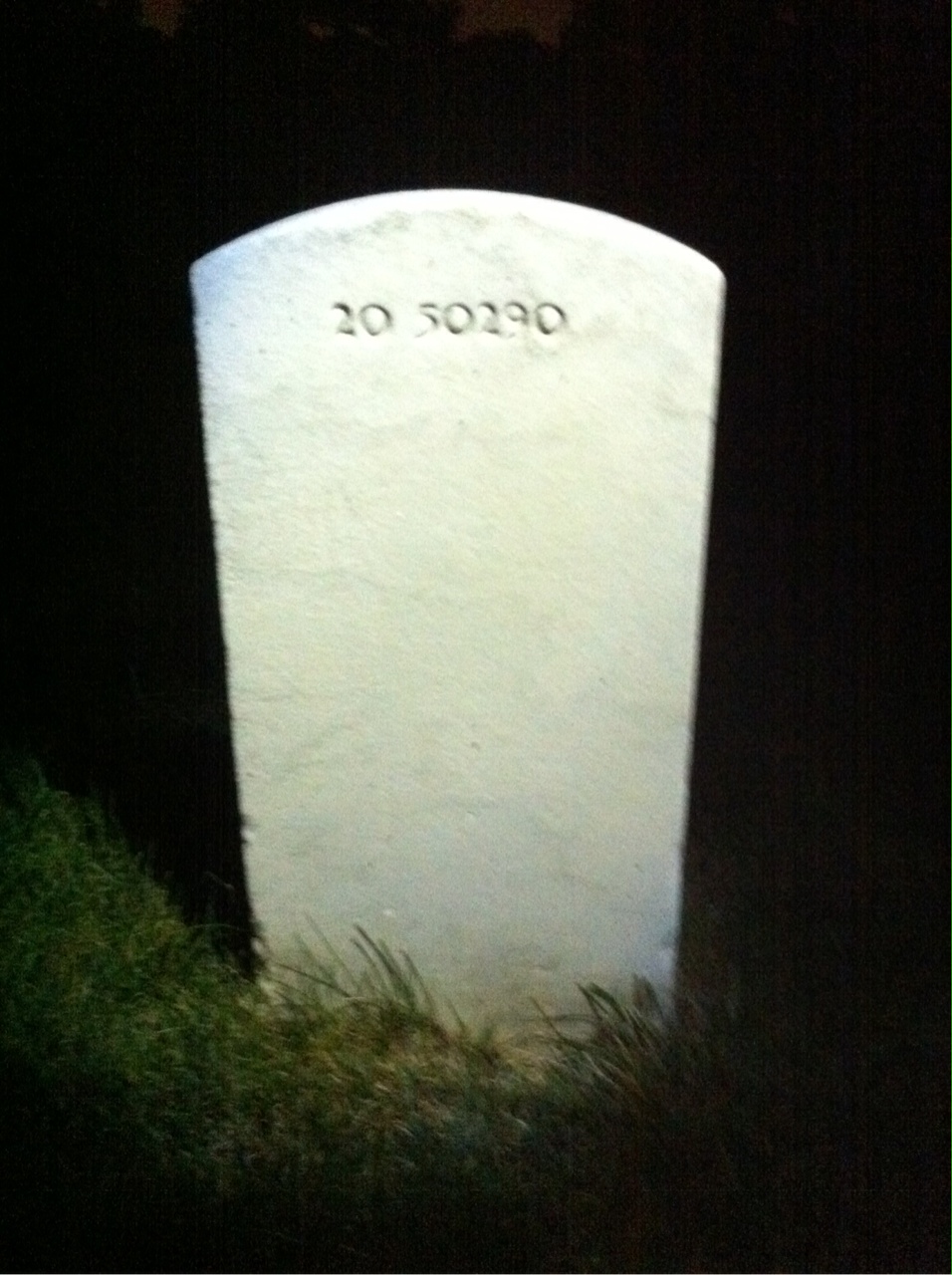 Back of headstone — Harry Albert