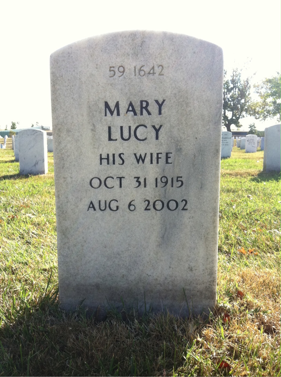Back of headstone — Elmer O Schoenfelder