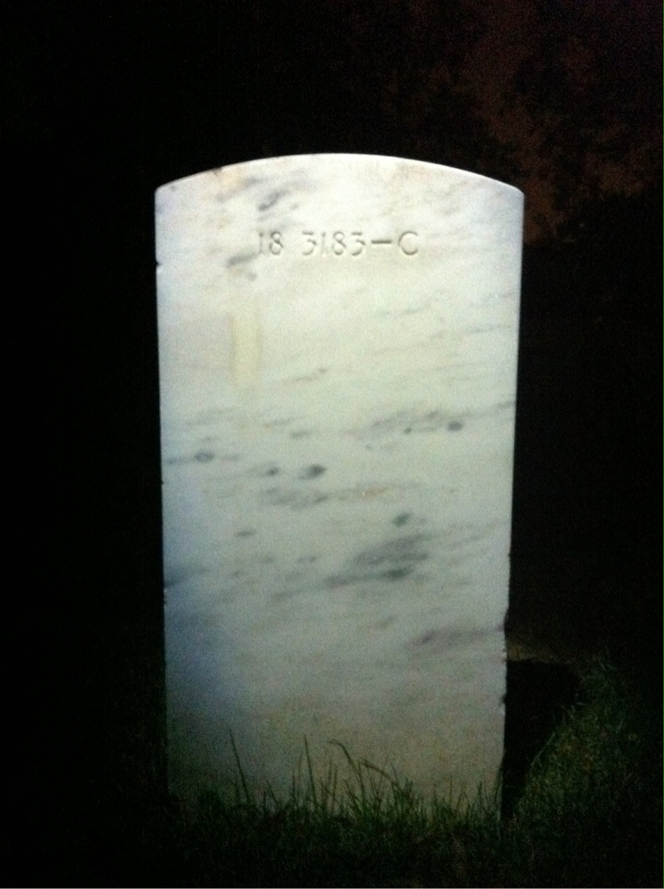 Back of headstone — Alexander Allison