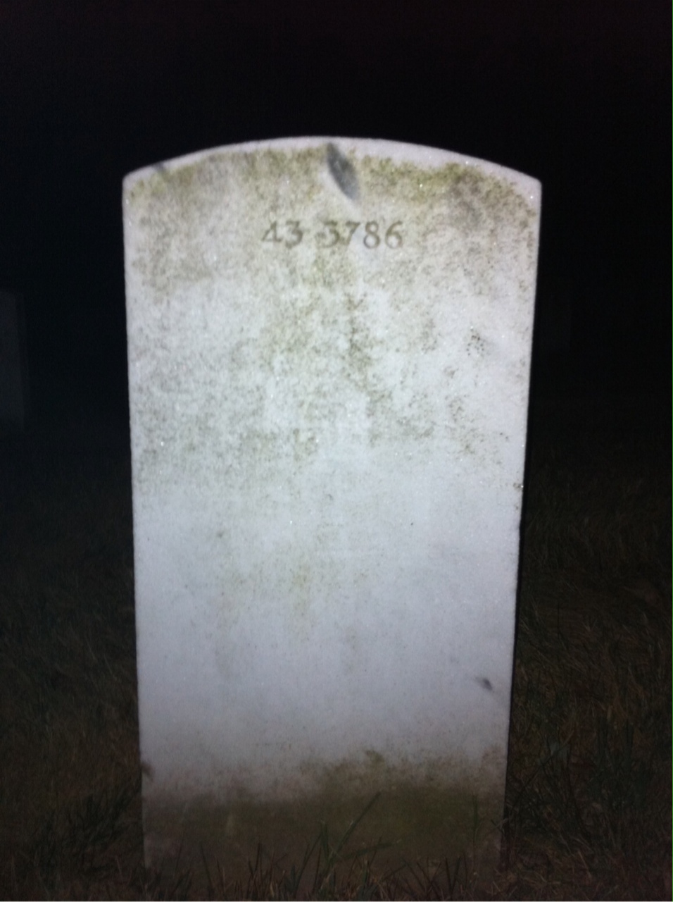 Back of headstone — Fred Allex