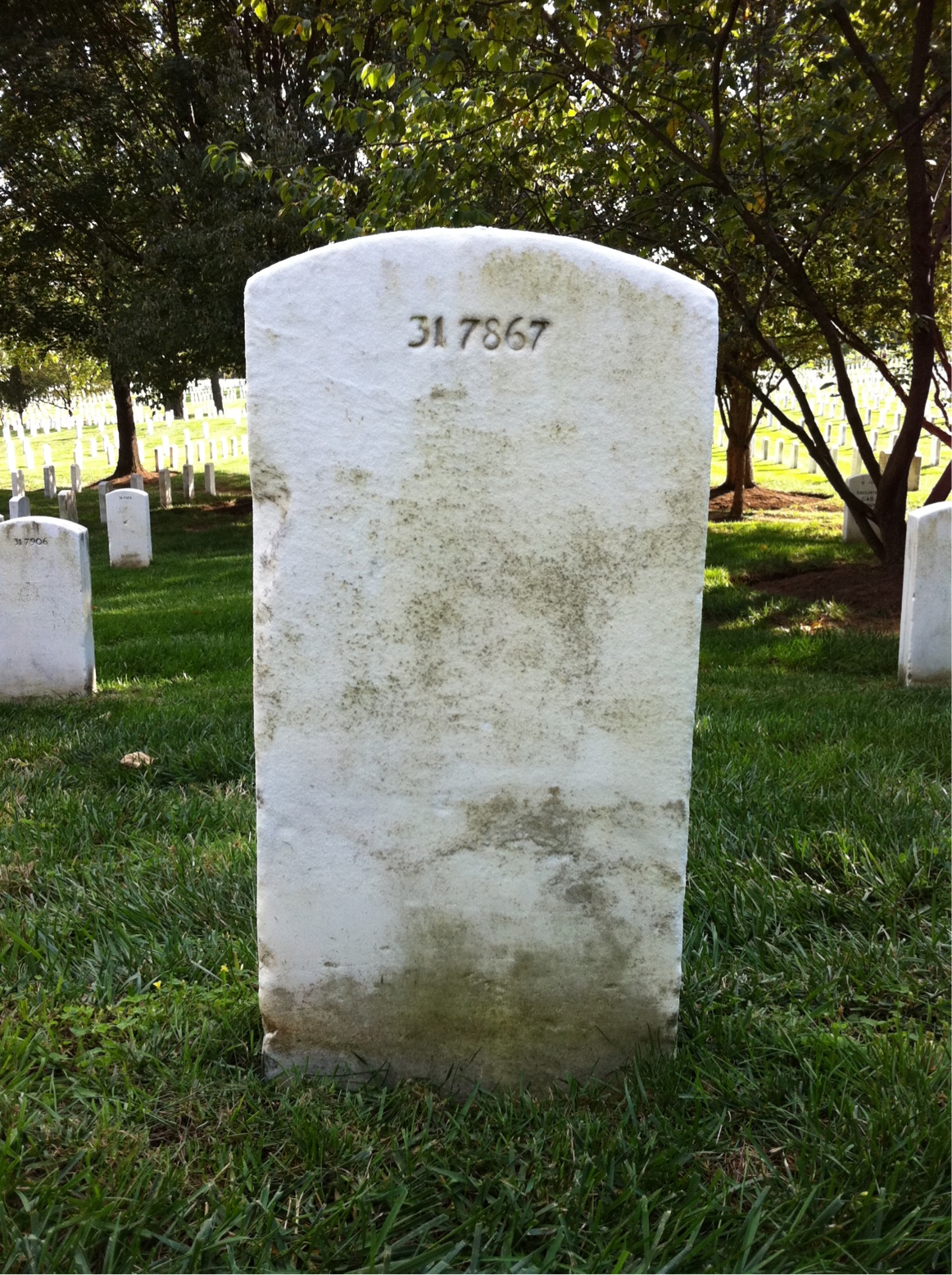 Back of headstone — Michael Adams