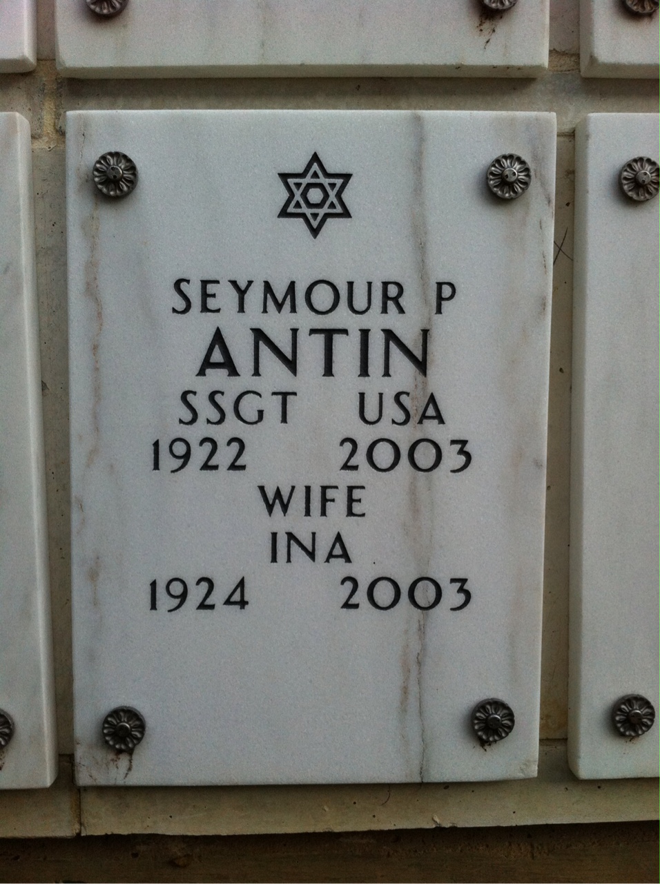 Seymour Antin