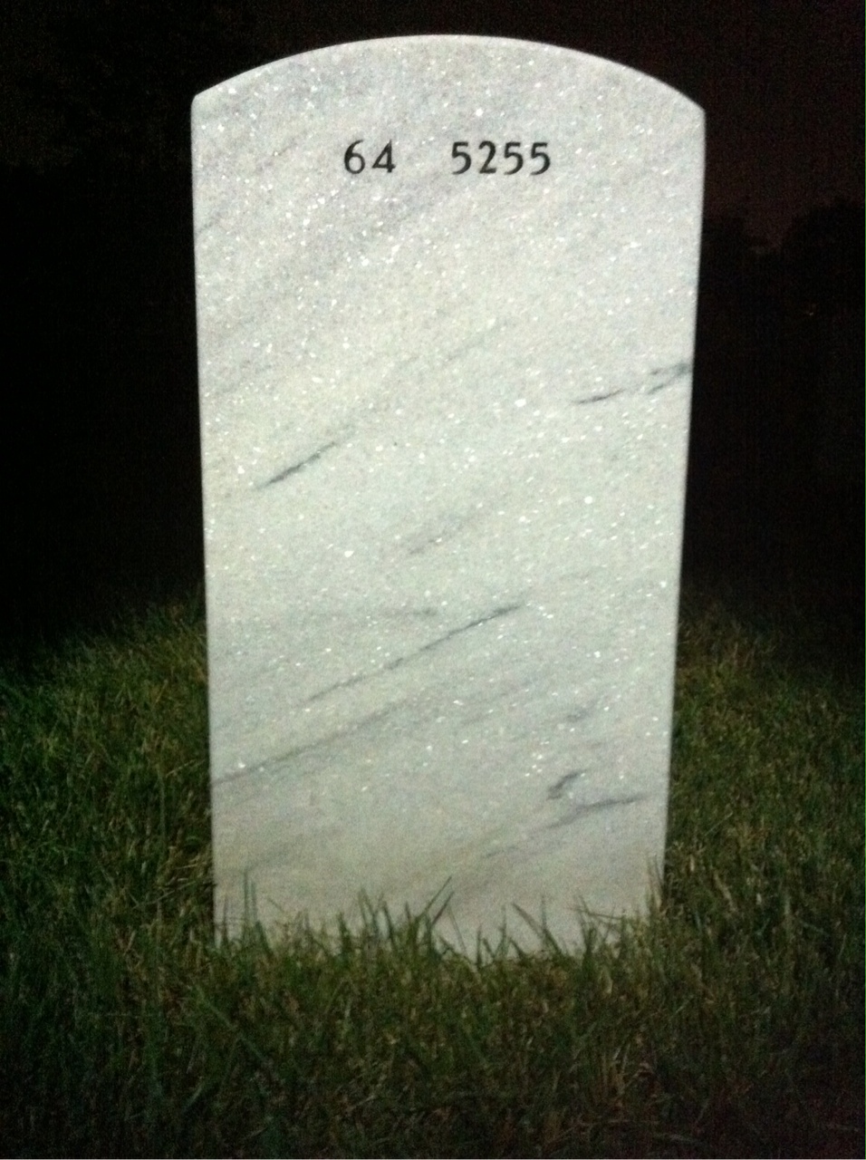 Back of headstone — Lucious Bryant