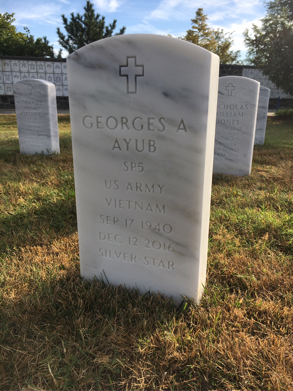 Georges Ayub