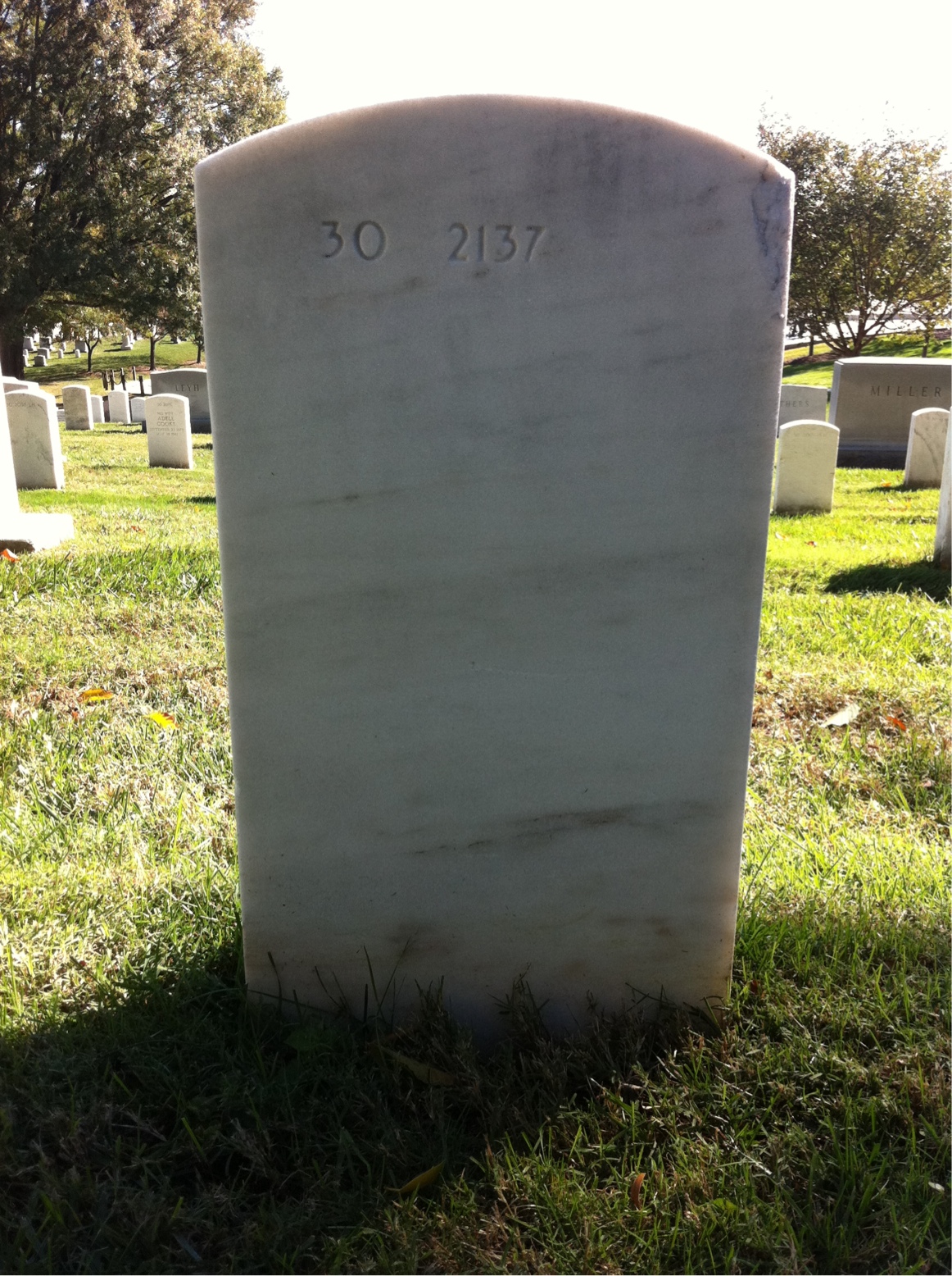 Back of headstone — Frances Armstrong