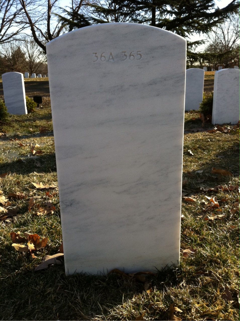 Back of headstone — Marc Anderson