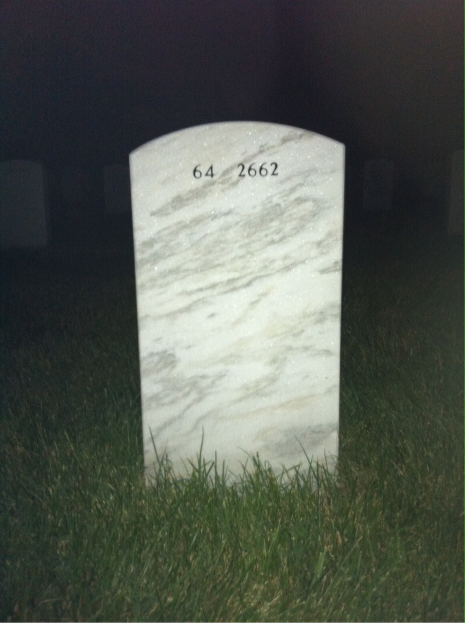 Back of headstone — James Schneider