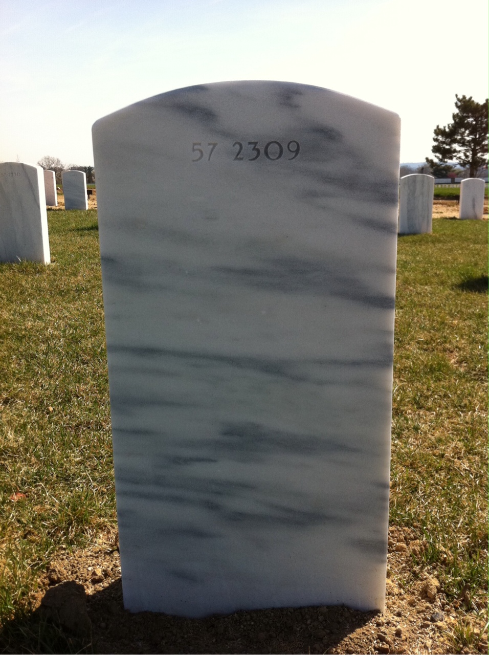 Back of headstone — William Mott