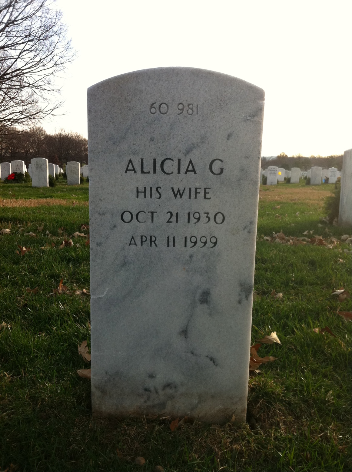 Back of headstone — Alicia Mckelvie