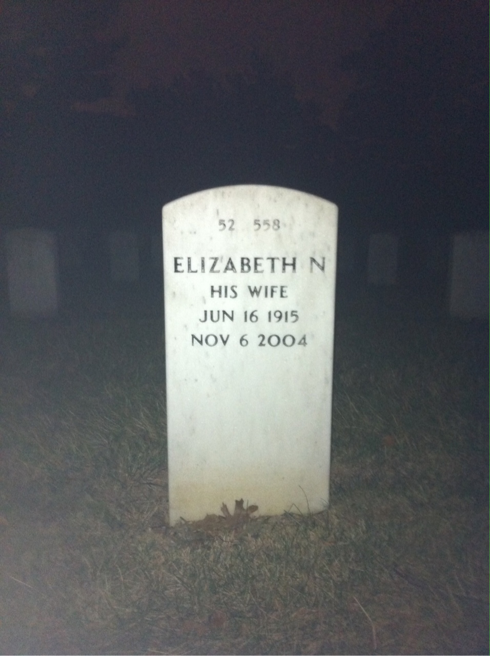 Back of headstone — L Cook
