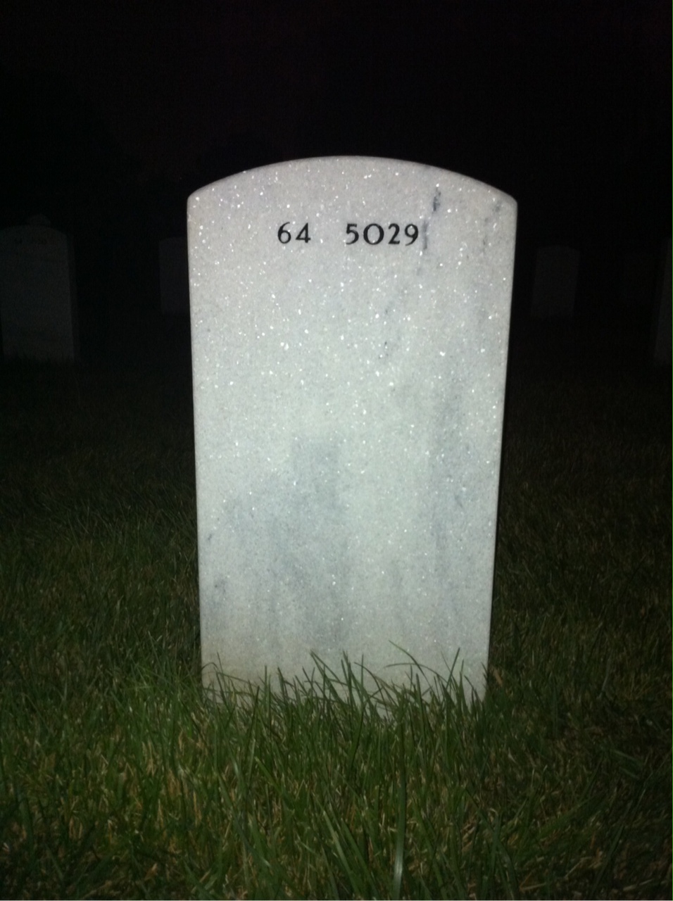 Back of headstone — Leo Ferron