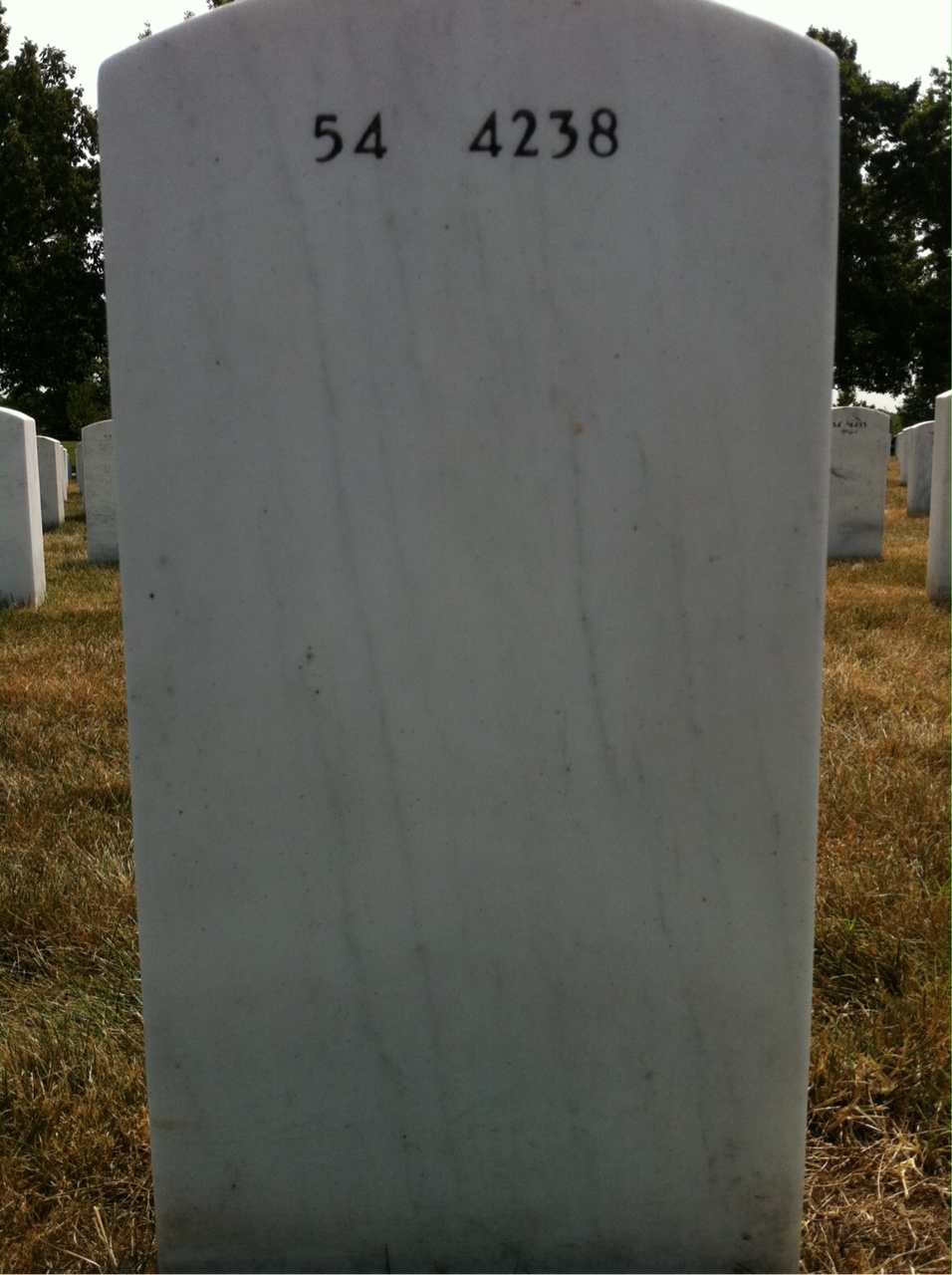 Back of headstone — Dennis Tracy