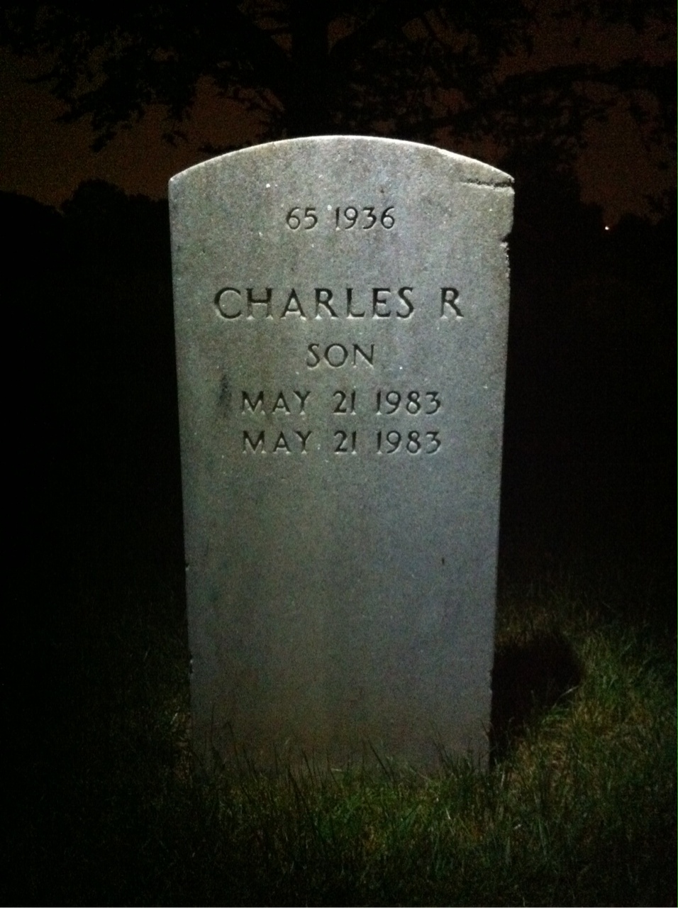 Back of headstone — Charles Biela