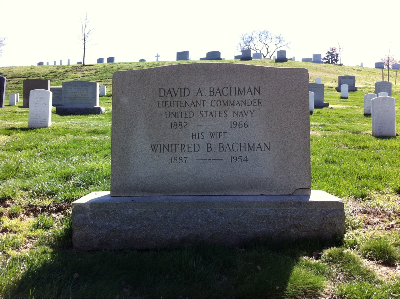 David Bachman
