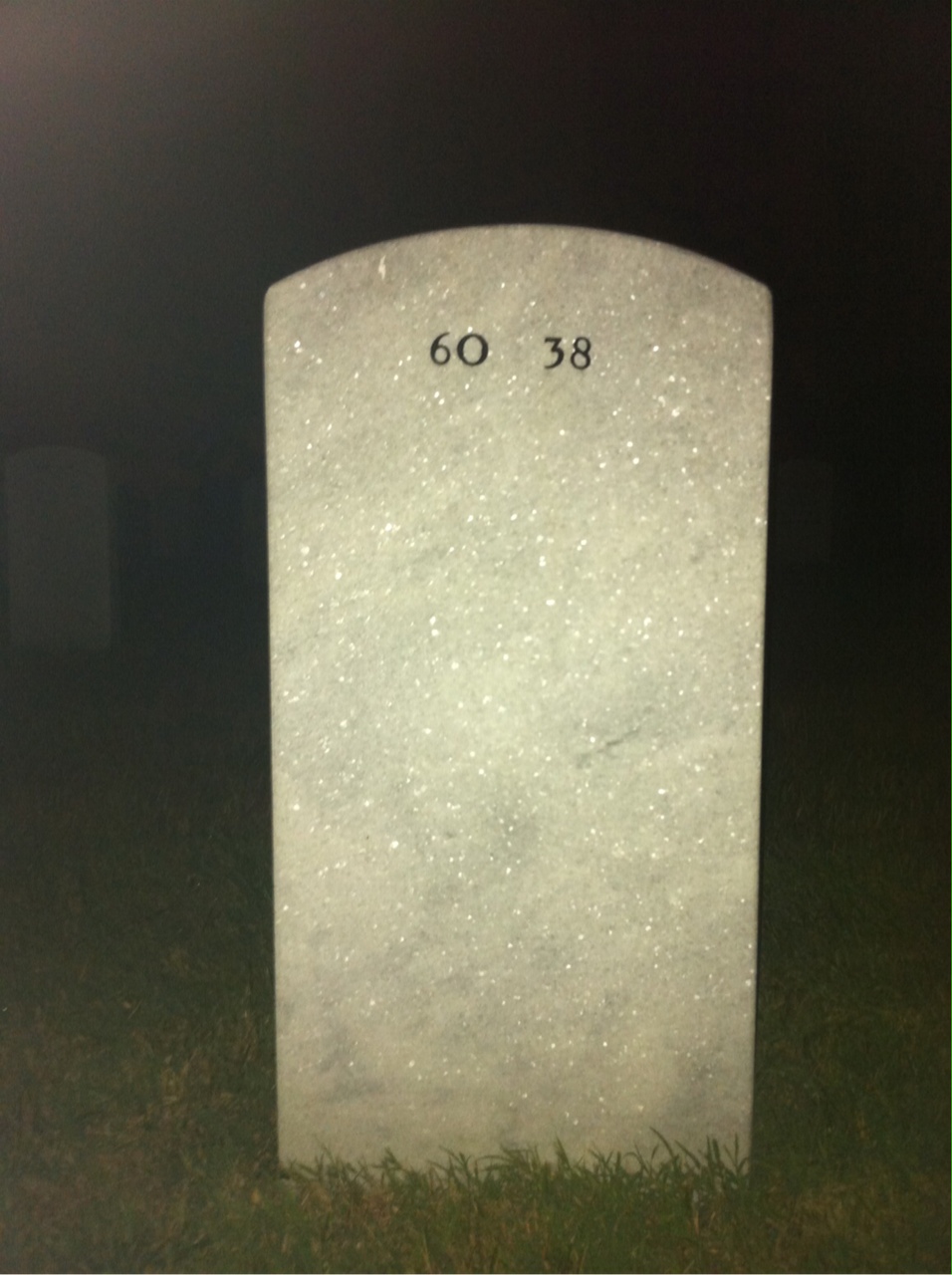 Back of headstone — Fred Anibal