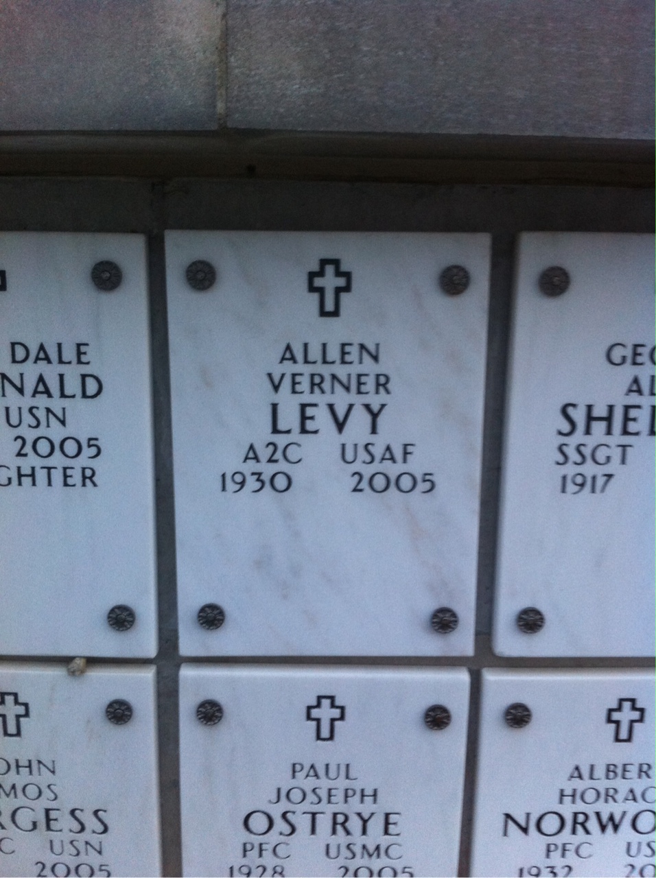 Allen Levy