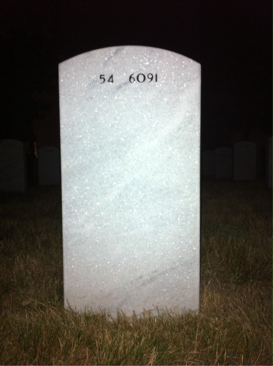 Back of headstone — David Fields