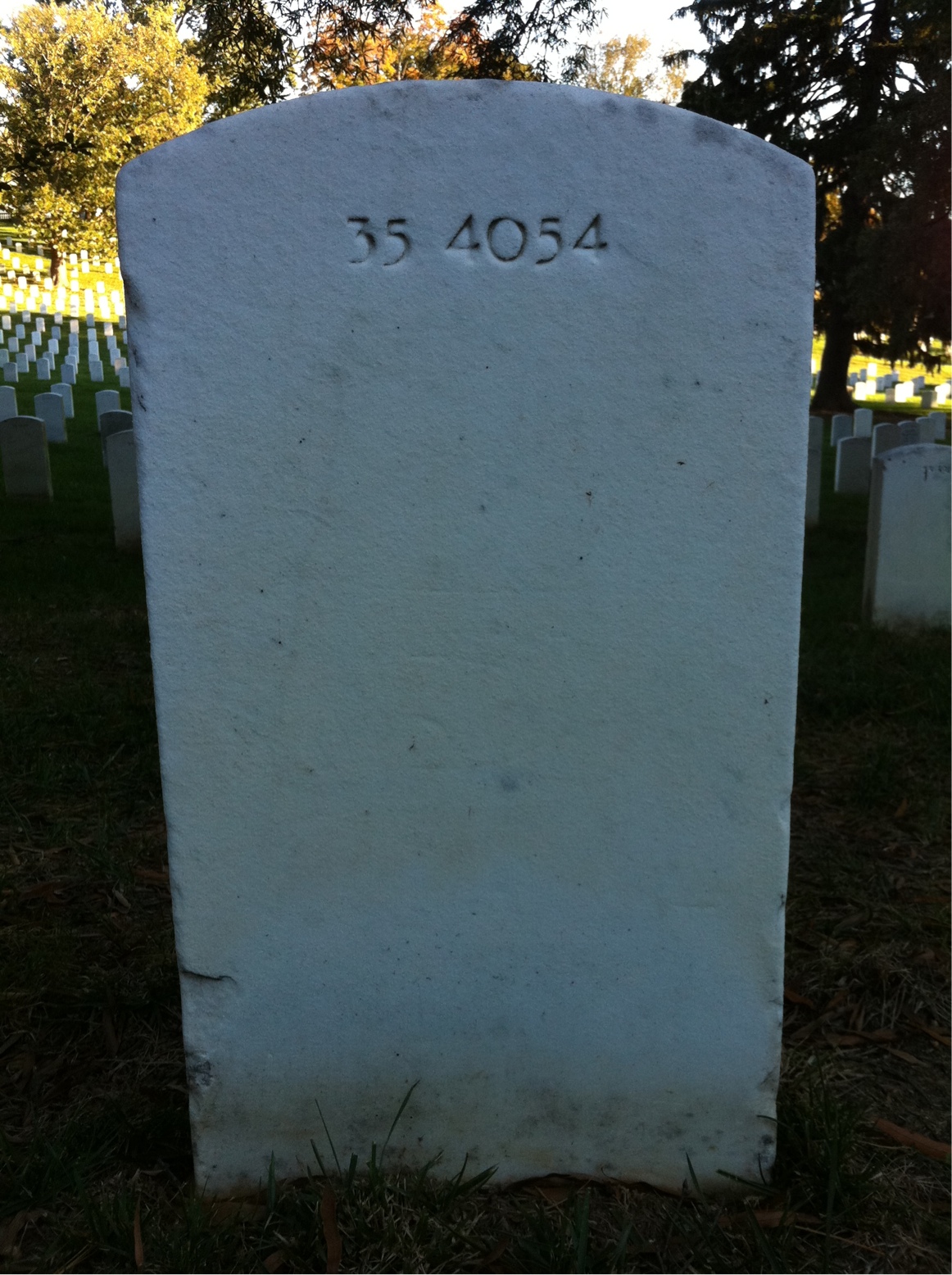 Back of headstone — Wray S Fleming