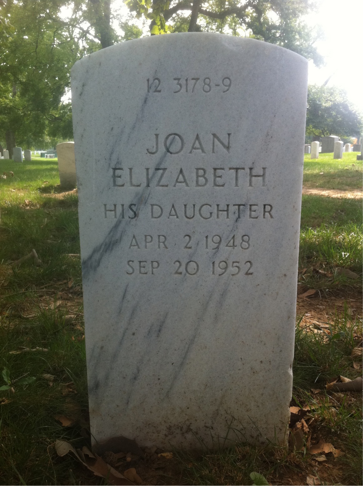 Back of headstone — Erwin Anderson