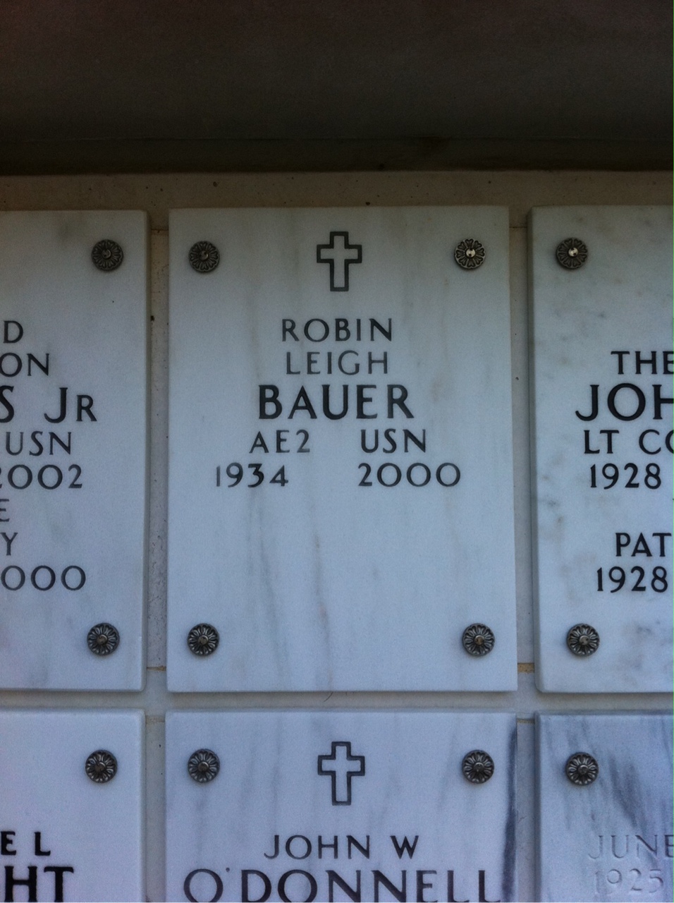 Robin Bauer