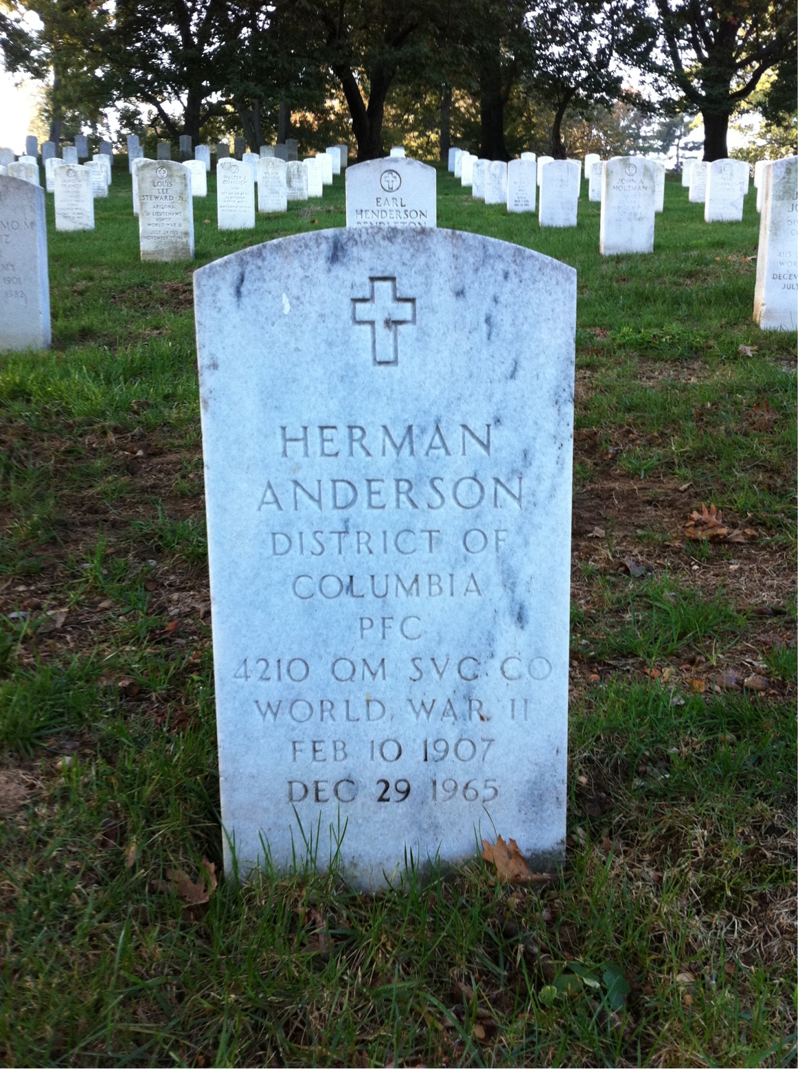 Herman Anderson