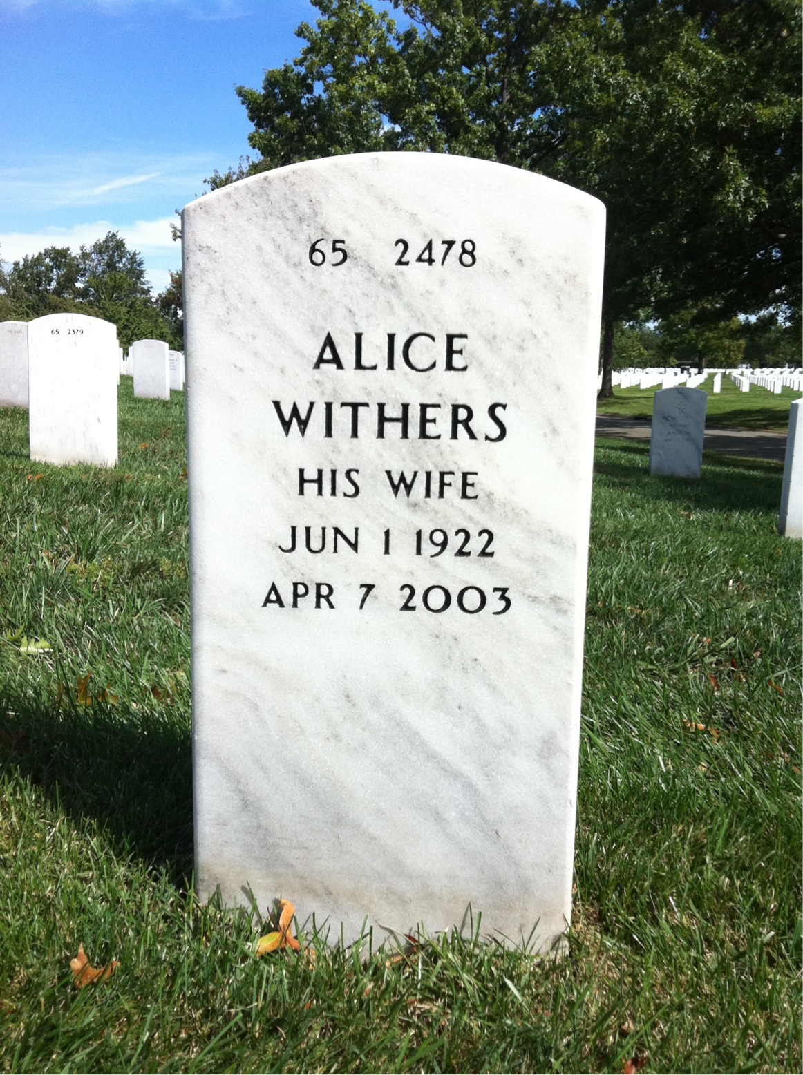 Back of headstone — Granville Sharpe