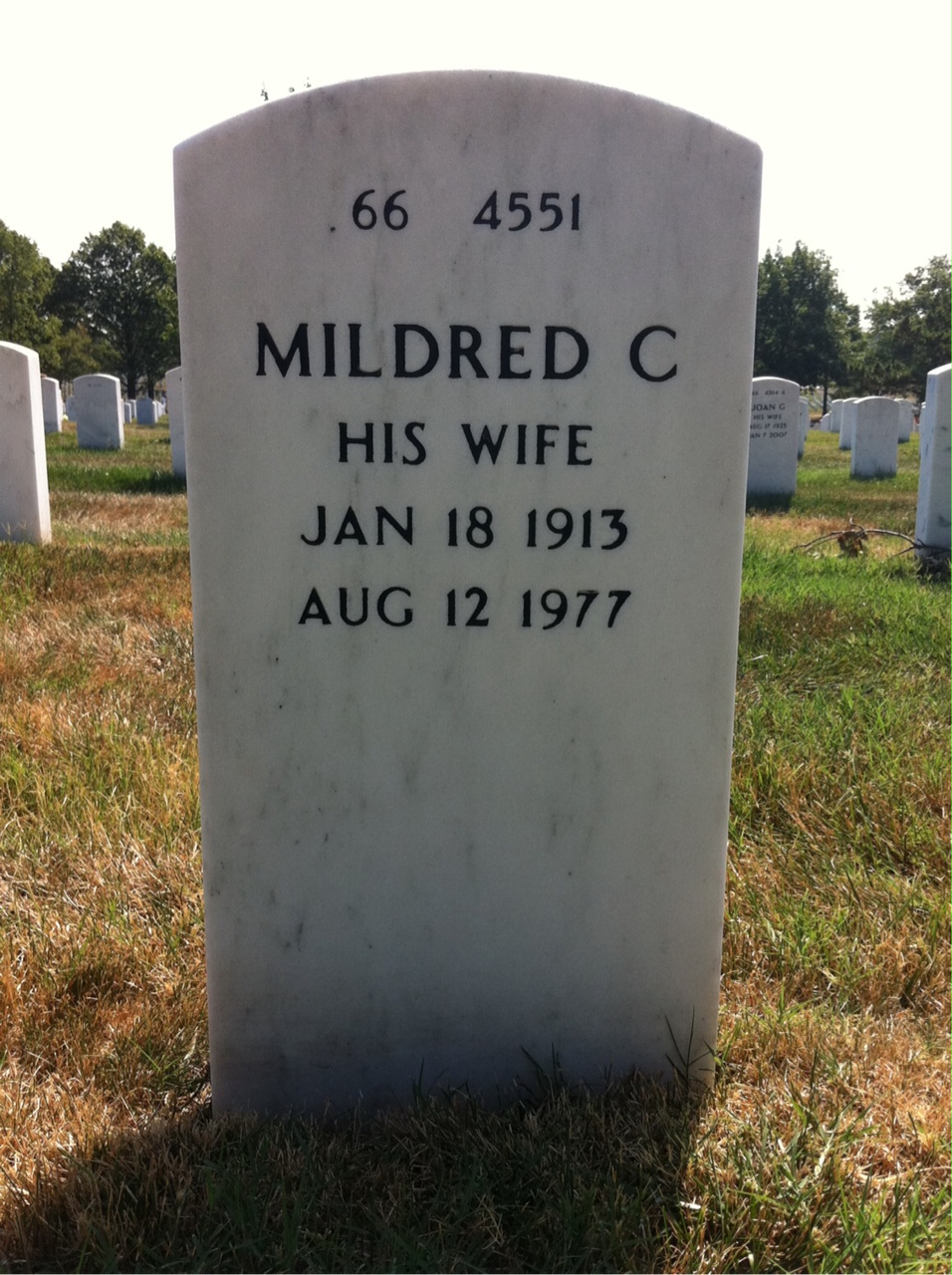 Back of headstone — Warren Johnson