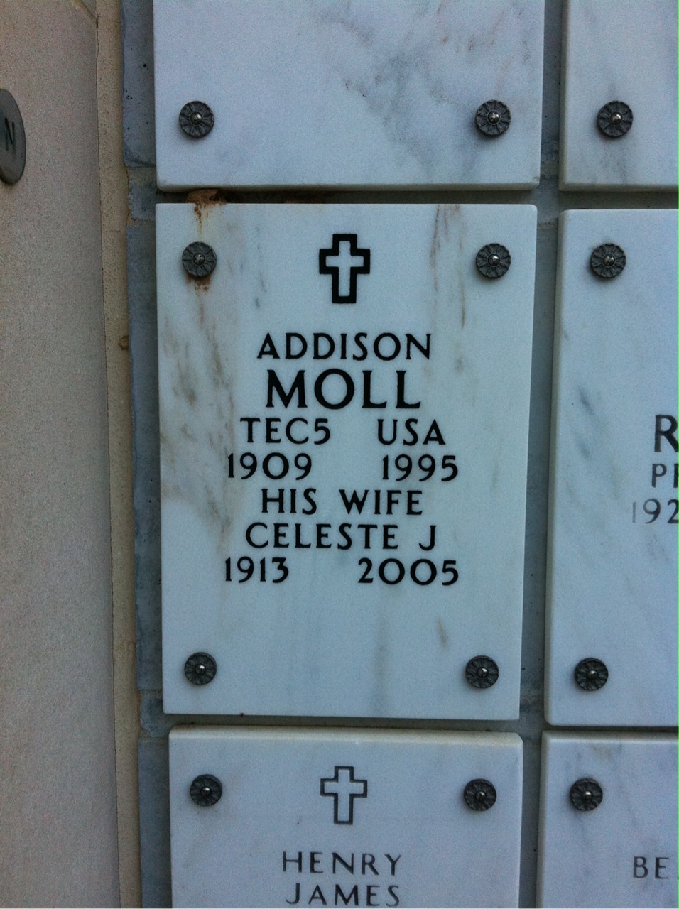 Addison Moll
