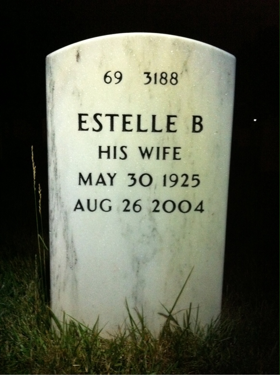 Back of headstone — Earl Savage