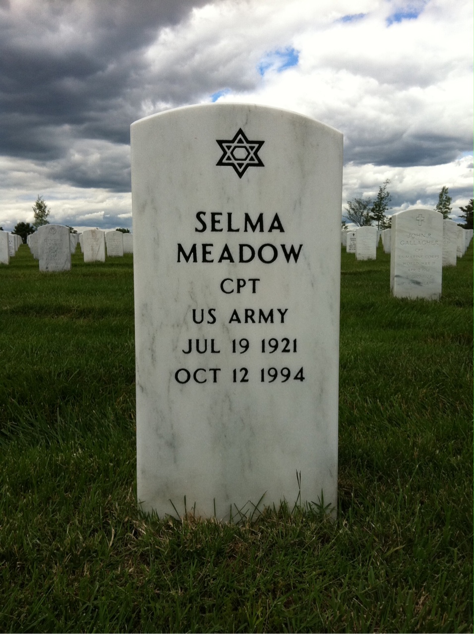Selma Meadow