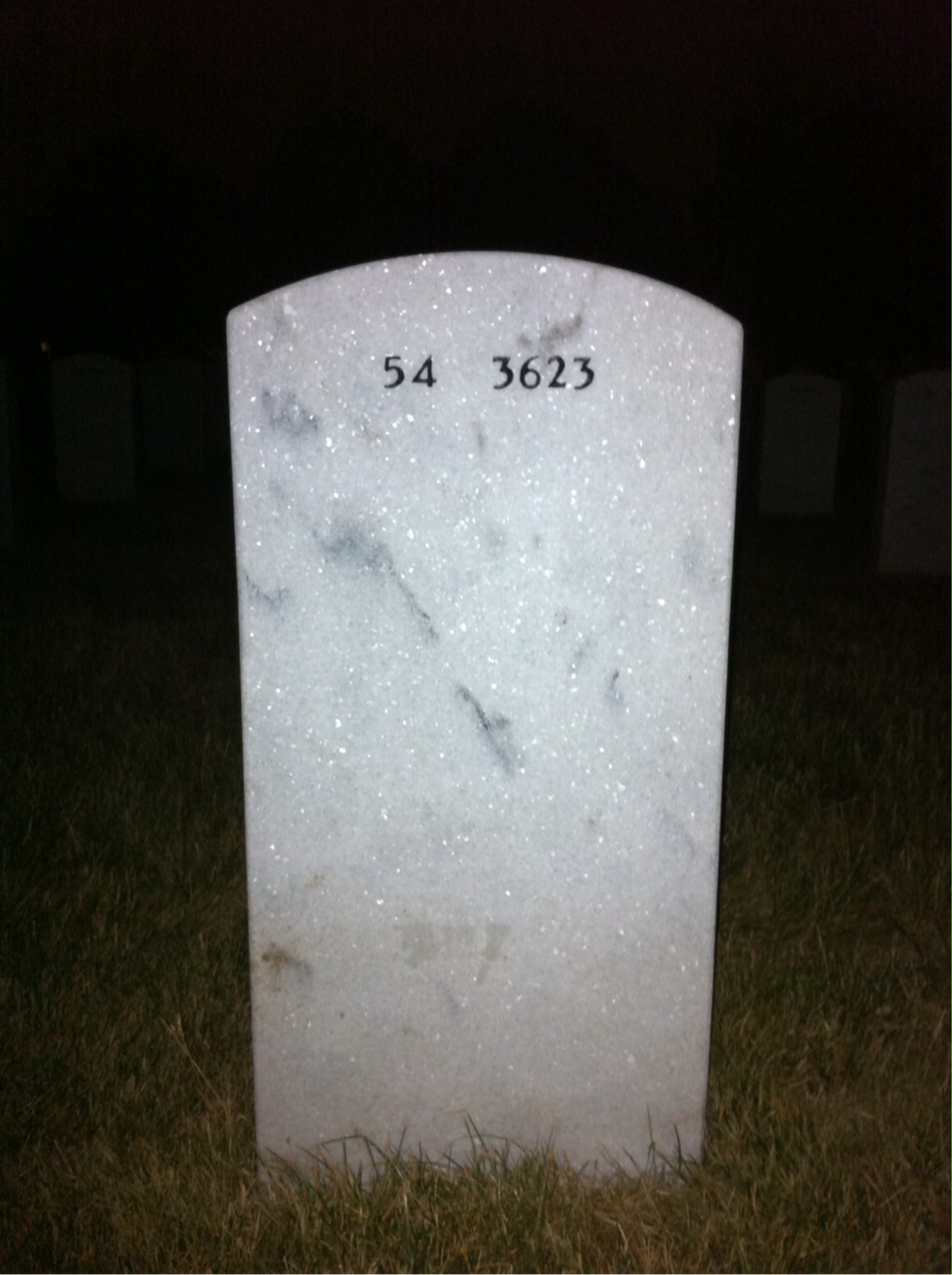 Back of headstone — Cecil Bryant