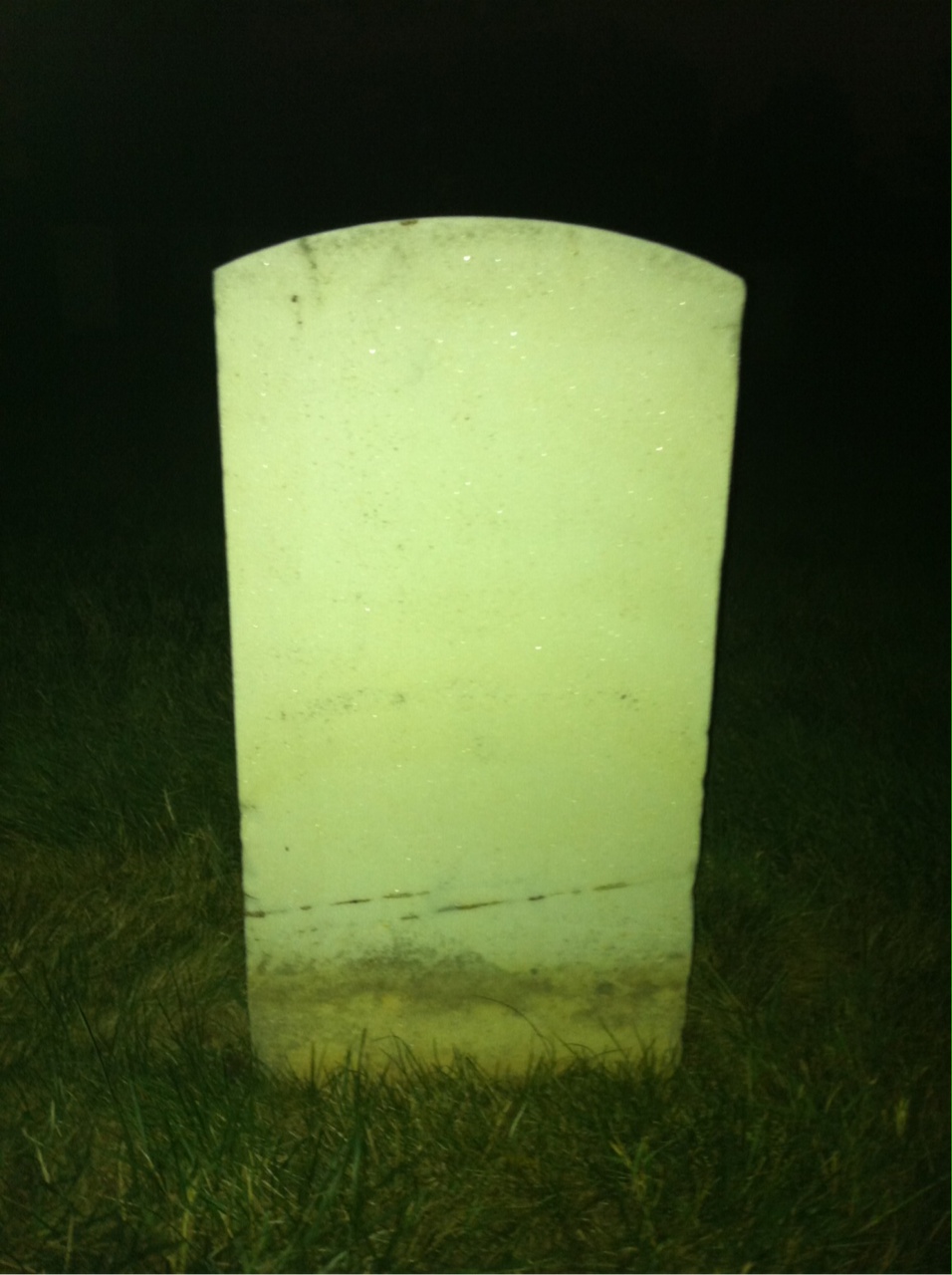 Back of headstone — Robert Morton