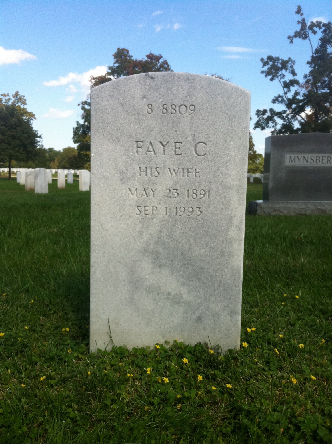 Back of headstone — David Mitchell