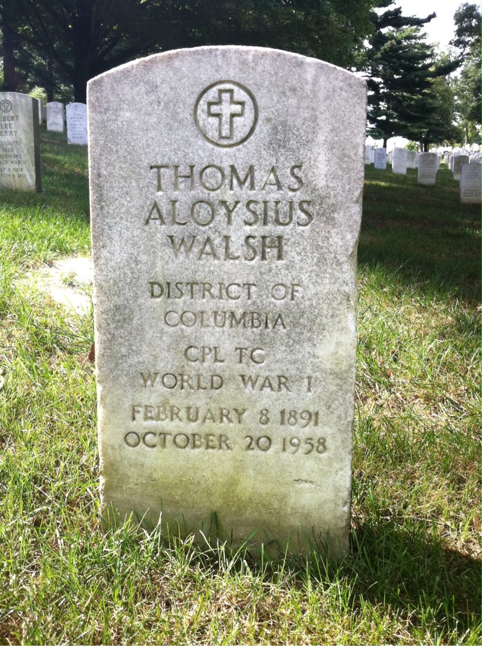 Thomas J Walsh