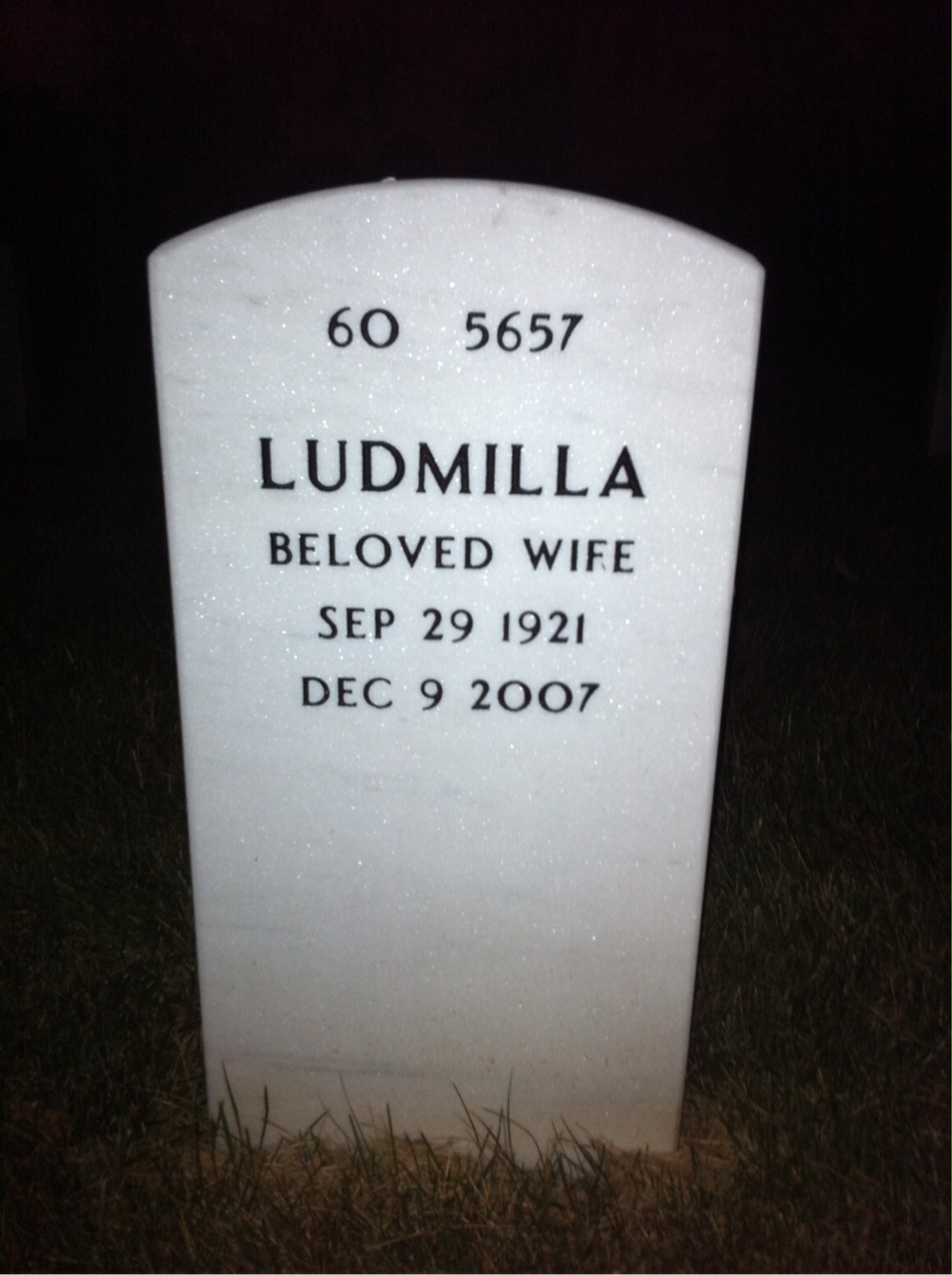 Back of headstone — Theodore Wyckoff
