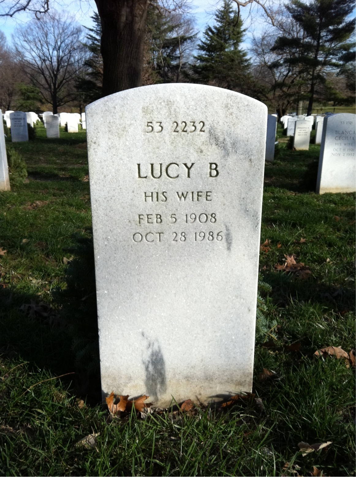 Back of headstone — Carl Baumann