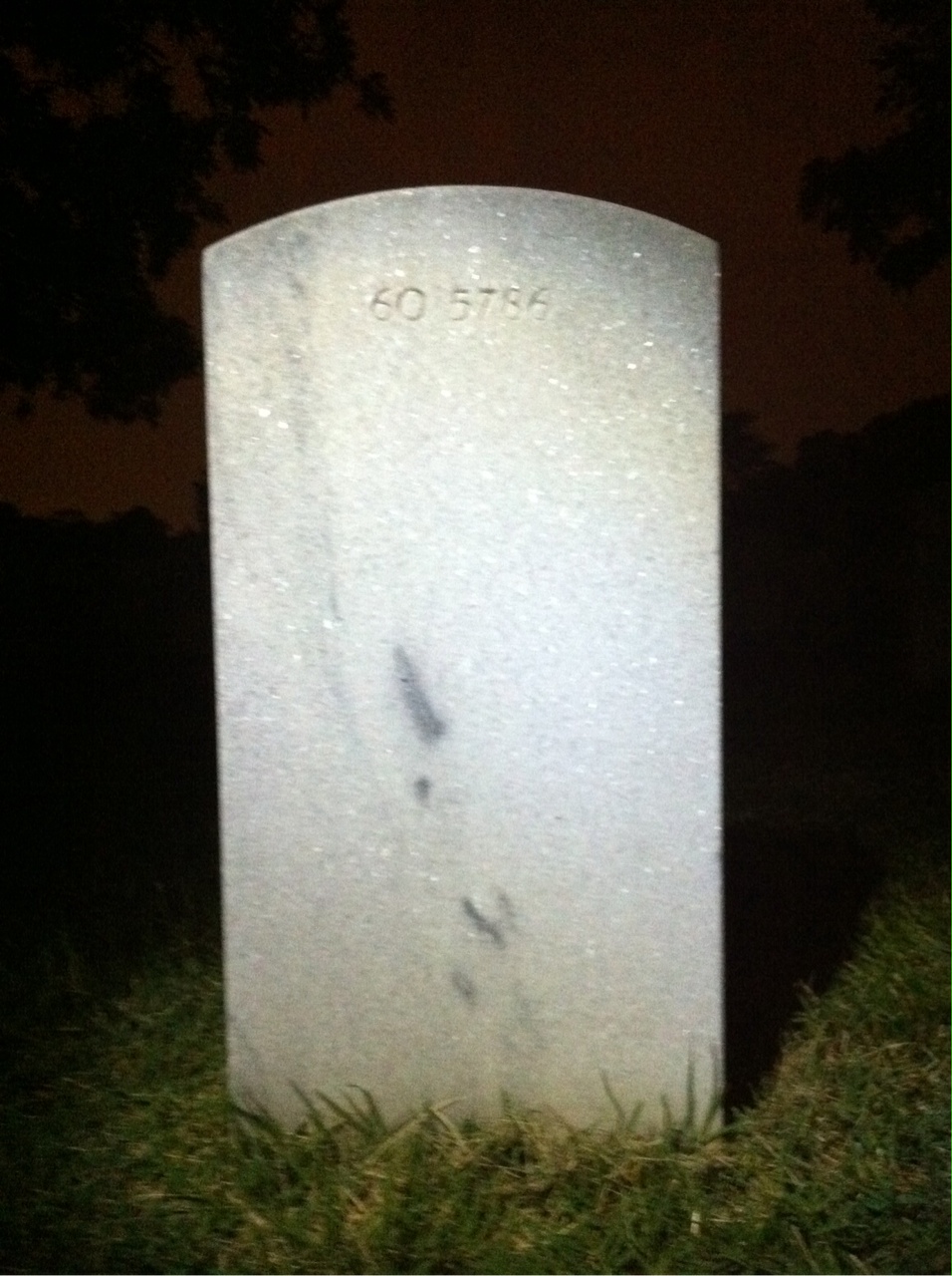 Back of headstone — Sidney Miller