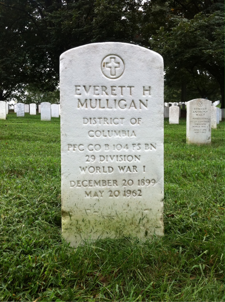 Anne Mulligan