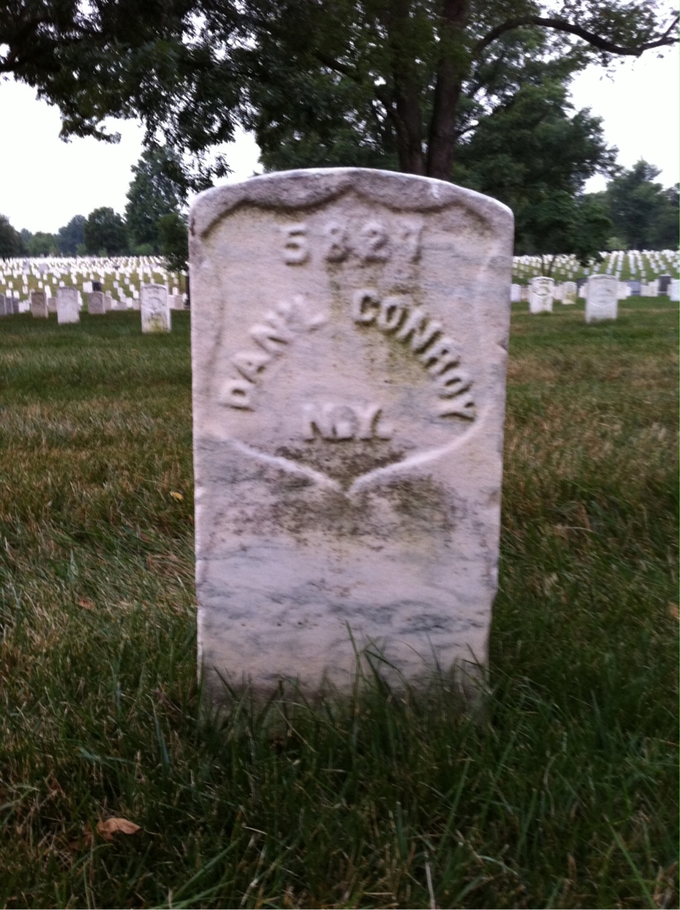 Daniel Conroy