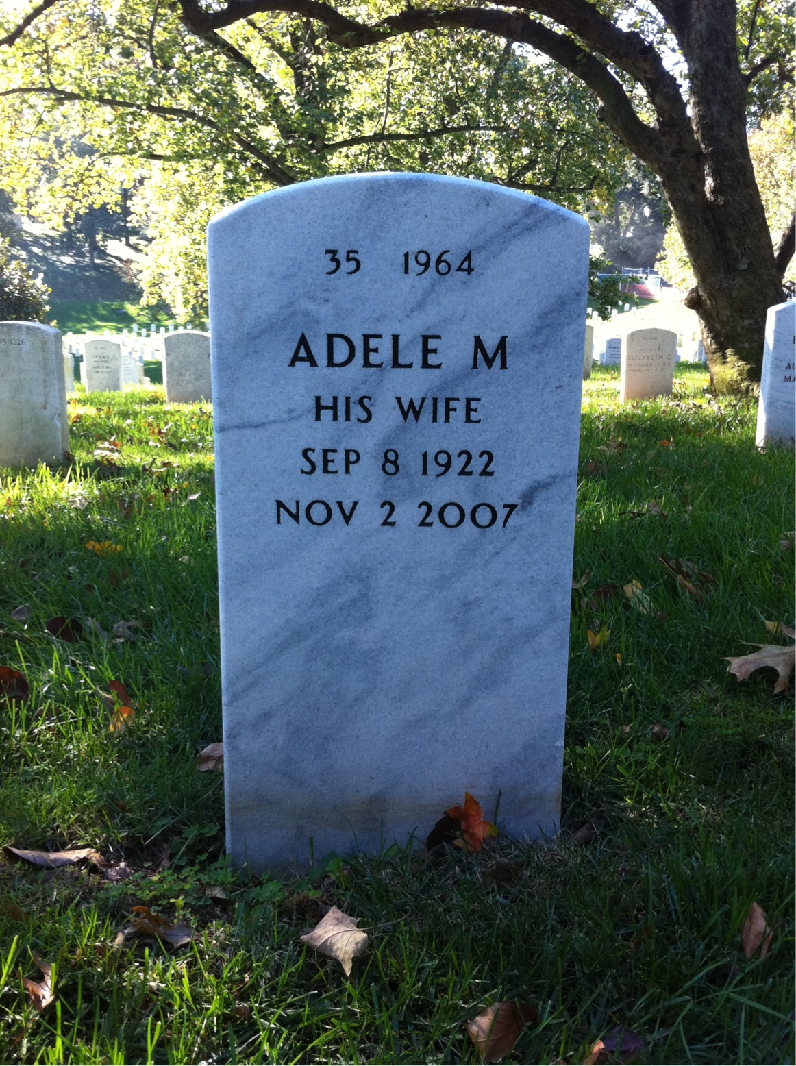 Back of headstone — Adam Zies