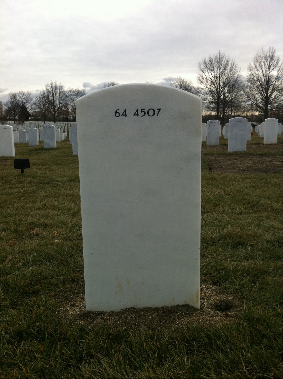 Back of headstone — Mitchell Bacher
