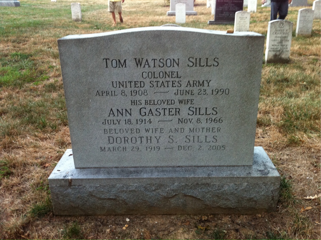 Tom Sills
